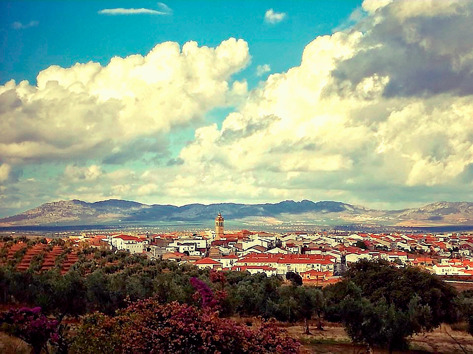 Olivar y pueblo de Monterrubio (Badajoz)