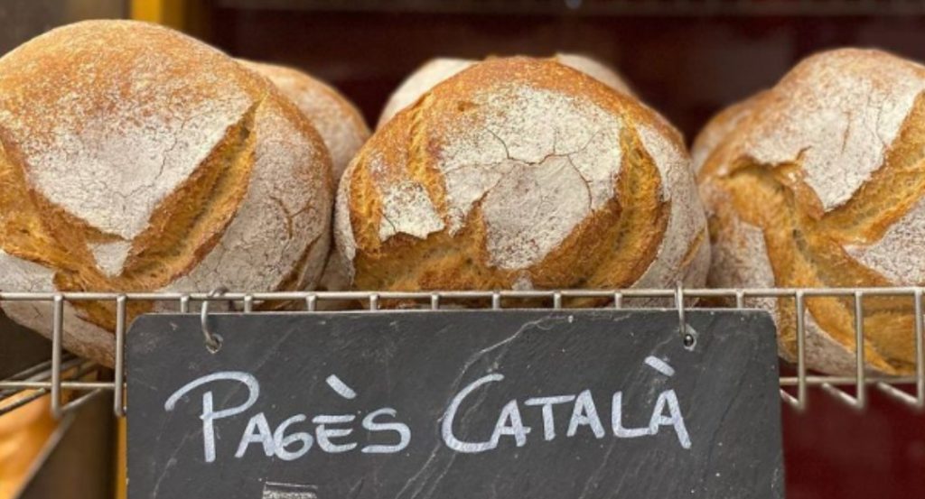 I.G.P. Pa de Pagés Català en la panadería.